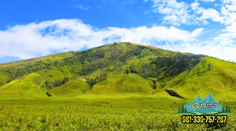 savana-wisata-gunung-bromo