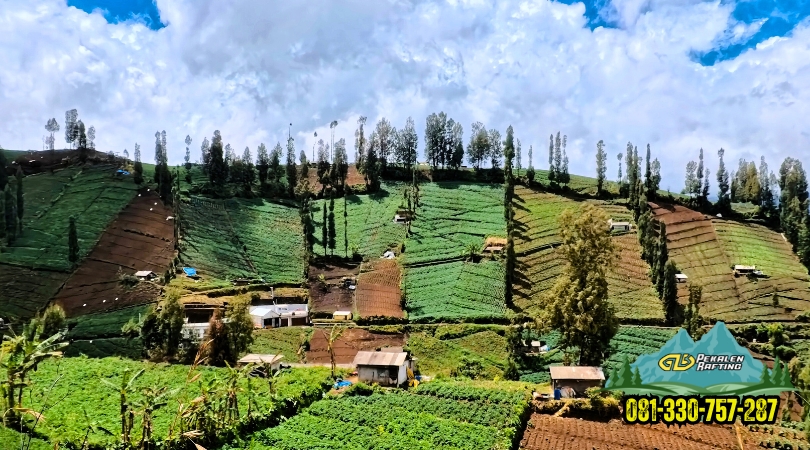 pemandangan-terasiring-sukapura